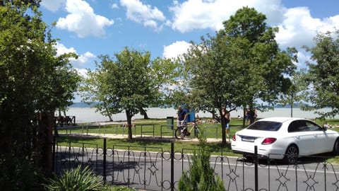 Lake view