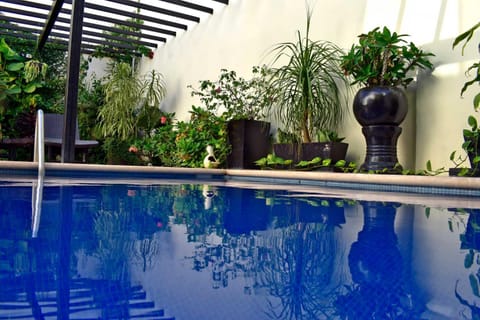 Pool view, Swimming pool