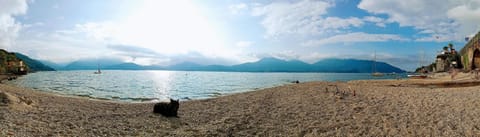 Day, Beach, Lake view