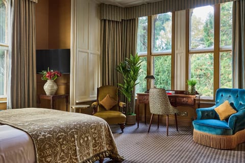 Bed, Seating area, Bedroom