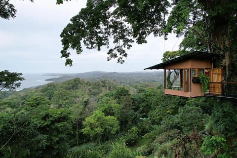 Natural landscape