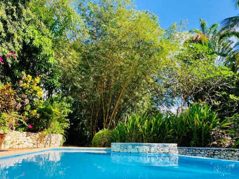 Garden, Pool view, Swimming pool