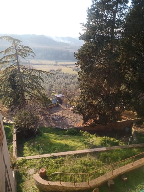 View (from property/room)