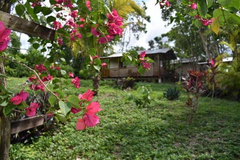 Hidden Haven Hostel in Cayo District