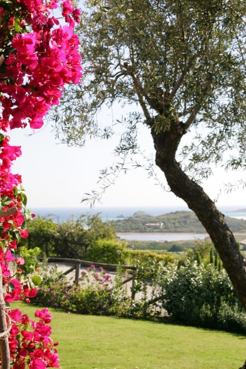 Garden view, Sea view