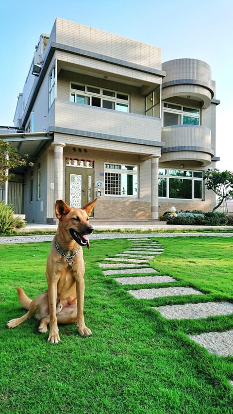 Property building, Day, Garden, Pets, Family