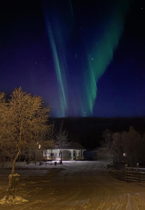 Night, Natural landscape