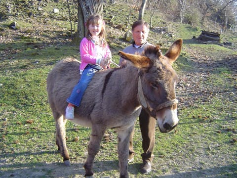 Agriturismo Sorripe Farm Stay in Tuscany