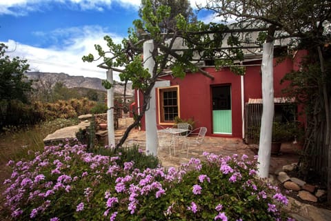 Property building, Garden view