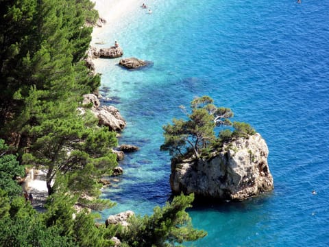 Guest House Mijo Sokol Bed and Breakfast in Brela