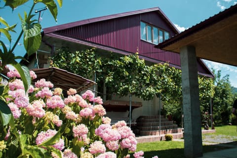 Property building, Spring, Day