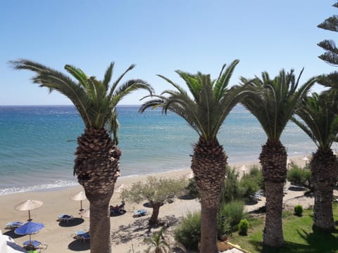 Garden, Beach