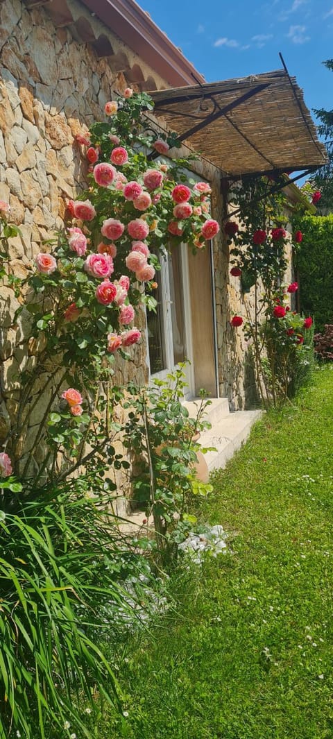 Property building, Spring, Garden, Garden view