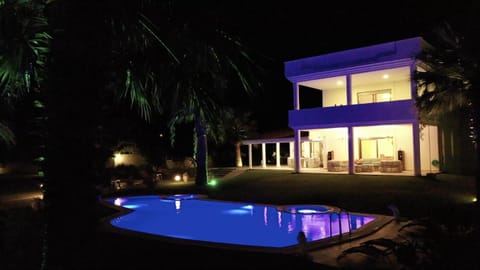 Night, Garden, Decorative detail, Garden view, Swimming pool