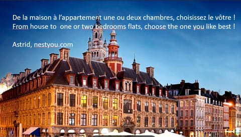 Coeur Vieux Lille , Bienvenue chez Nestyou, Lille Apartment in Lille