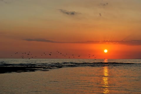 Natural landscape, Fishing, Beach, Windsurfing, Canoeing, Hiking, Diving, Landmark view, Sea view, Sea view, Sunrise, Sunset