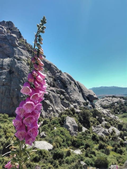 Nearby landmark, Natural landscape, Hiking, Entertainment