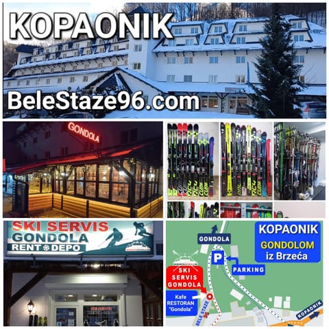 KOPAONIK-GONDOLA 100m Apartment in Serbia