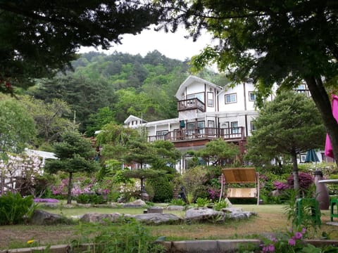 Spring, Neighbourhood, Natural landscape, Garden