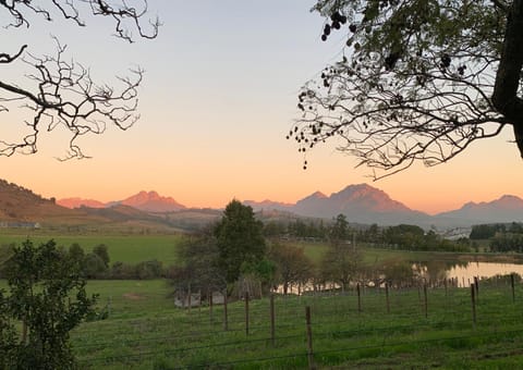 Wildlife Retreat on a Wine-Farm Farm Stay in Stellenbosch