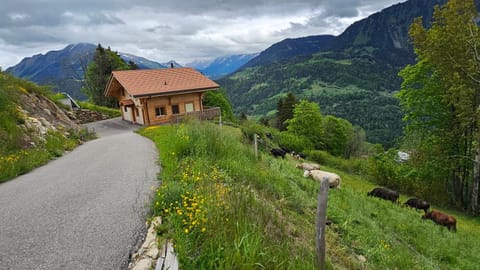 Natural landscape