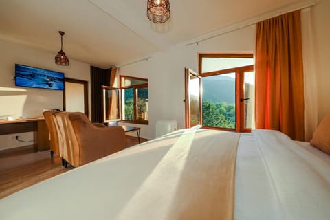 Chalet Kujta Chalet in Montenegro