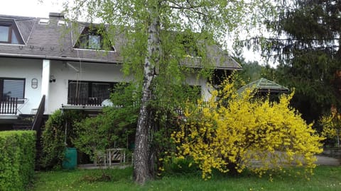 Spring, Garden, Garden view
