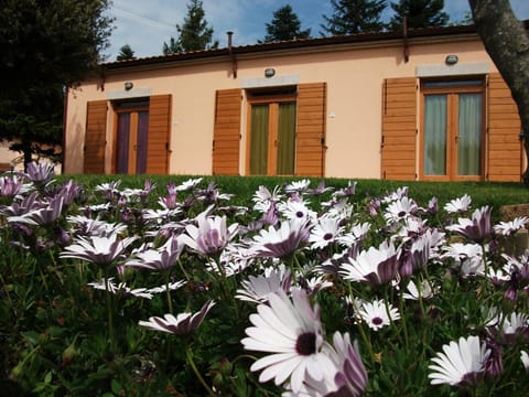 Facade/entrance, Garden