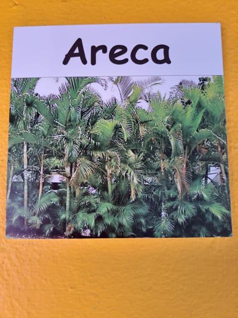 Recanto das Flores Lofts - Ilha Grande Rj Apartment in Angra dos Reis