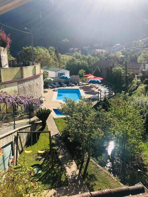 Garden, Swimming pool