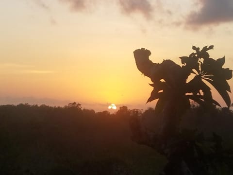 Cantika Guest House Bed and Breakfast in Bali