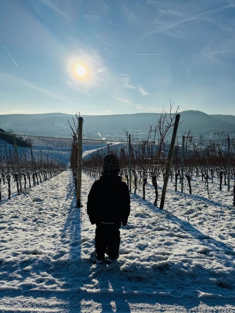 Weinquartier Burggarten Hotel in Bad Neuenahr-Ahrweiler