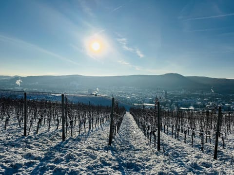 Weinquartier Burggarten Hotel in Bad Neuenahr-Ahrweiler