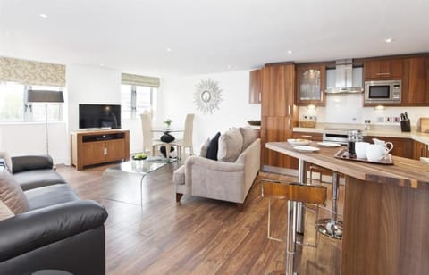 TV and multimedia, Kitchen or kitchenette, Living room, minibar, stove, toaster