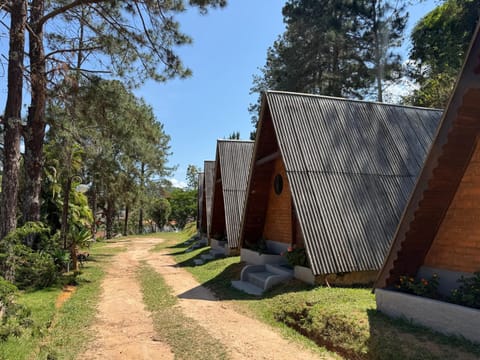 Property building, Garden view