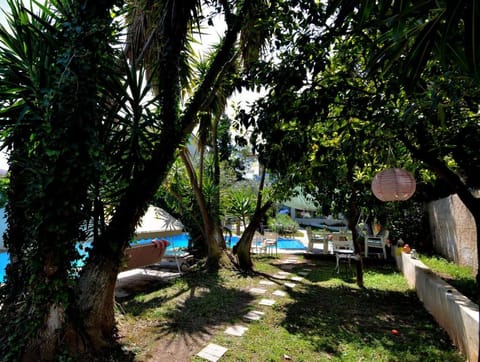 Spring, Day, Night, Activities, Summer, Garden, Food and drinks, Autumn, On site, Food, Pets, Sports, Meals, Drinks, Alcoholic drinks, Sunrise, Sunset, group of guests, Family