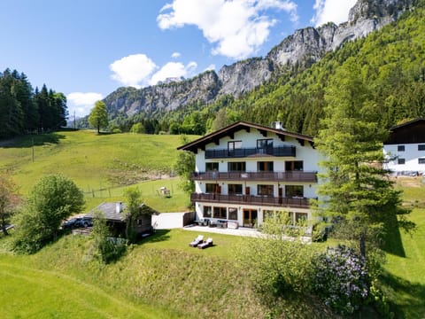 Property building, Natural landscape, Animals