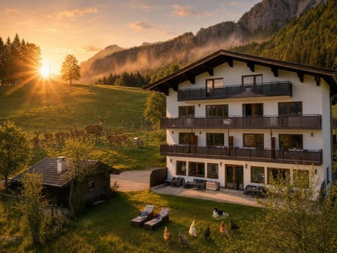 Property building, Natural landscape, Animals, Garden view, Mountain view, Sunrise