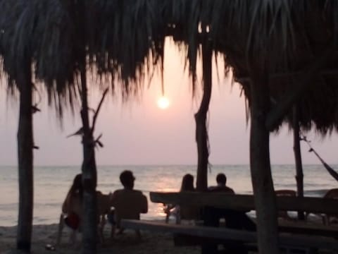 Patio, Staff, Off site, Food close-up, Bird's eye view, Summer, Balcony/Terrace, Floor plan, Beach, Sea view, Entertainment, Alcoholic drinks, Non alcoholic drinks, Sunset, Family