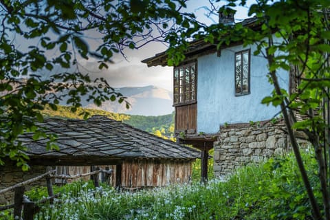 Property building, Spring, Day, Natural landscape, Garden, Garden view