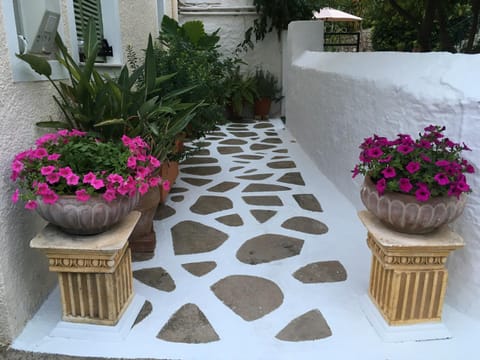 Toula's house 2 Apartment in Spetses