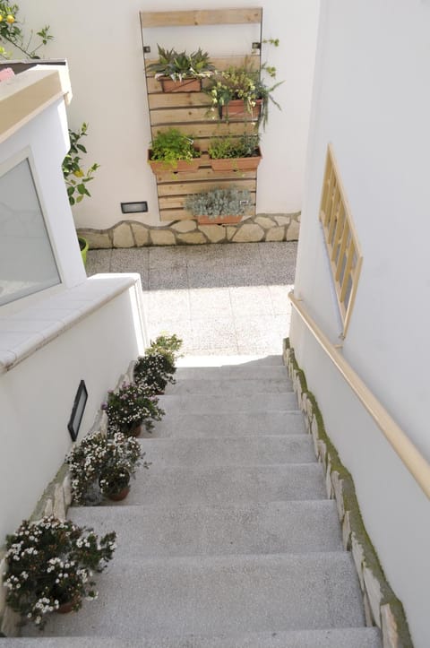 Facade/entrance, Garden