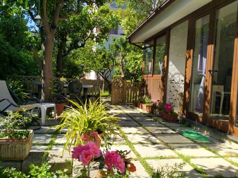Property building, Patio, Garden