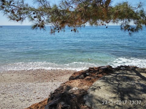 Nearby landmark, Natural landscape, Fishing, Snorkeling, Beach, Beach, Canoeing, Diving