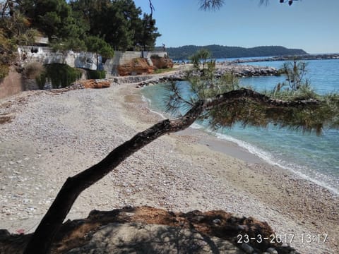 Nearby landmark, Neighbourhood, Natural landscape, Fishing, Beach, Diving