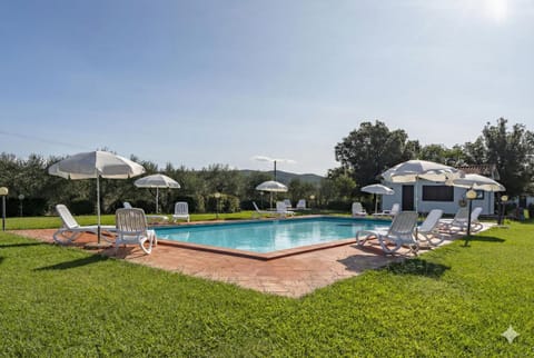 Spring, Day, Natural landscape, Garden, Garden view, Pool view, Swimming pool, sunbed