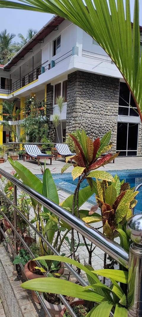 Garden view