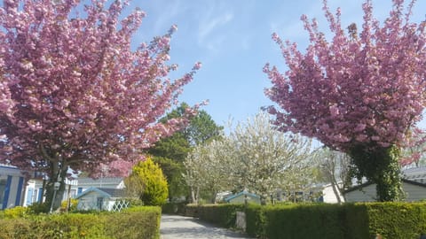 Natural landscape