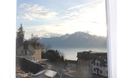 Lake view