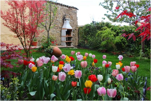 Property building, Spring, Garden, Garden view